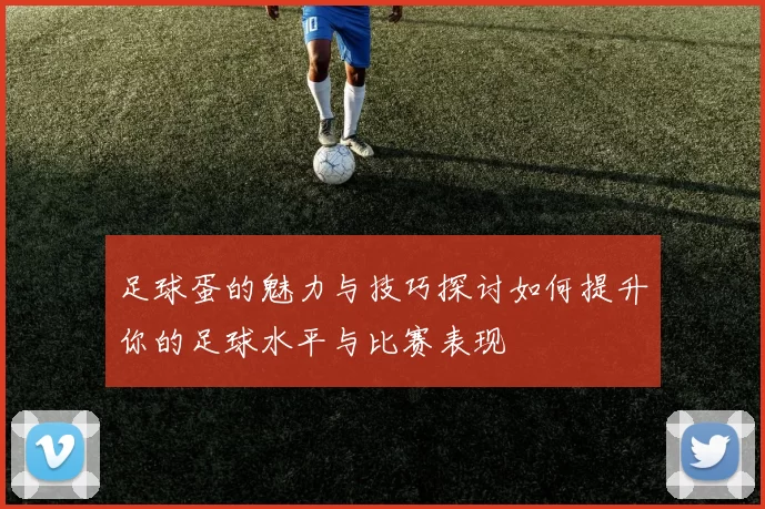 足球蛋的魅力与技巧探讨如何提升你的足球水平与比赛表现