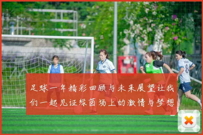 足球一年精彩回顾与未来展望让我们一起见证绿茵场上的激情与梦想