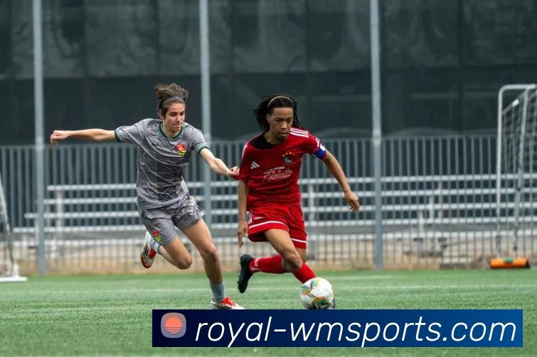 完美体育平台生态图