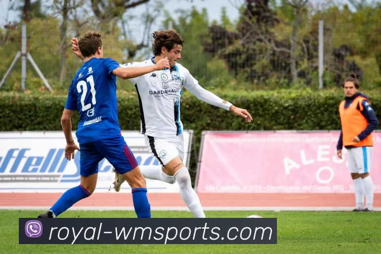 完美体育APP 封面图